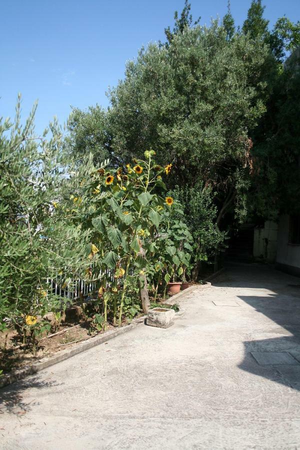 ספליט Sunflower מראה חיצוני תמונה